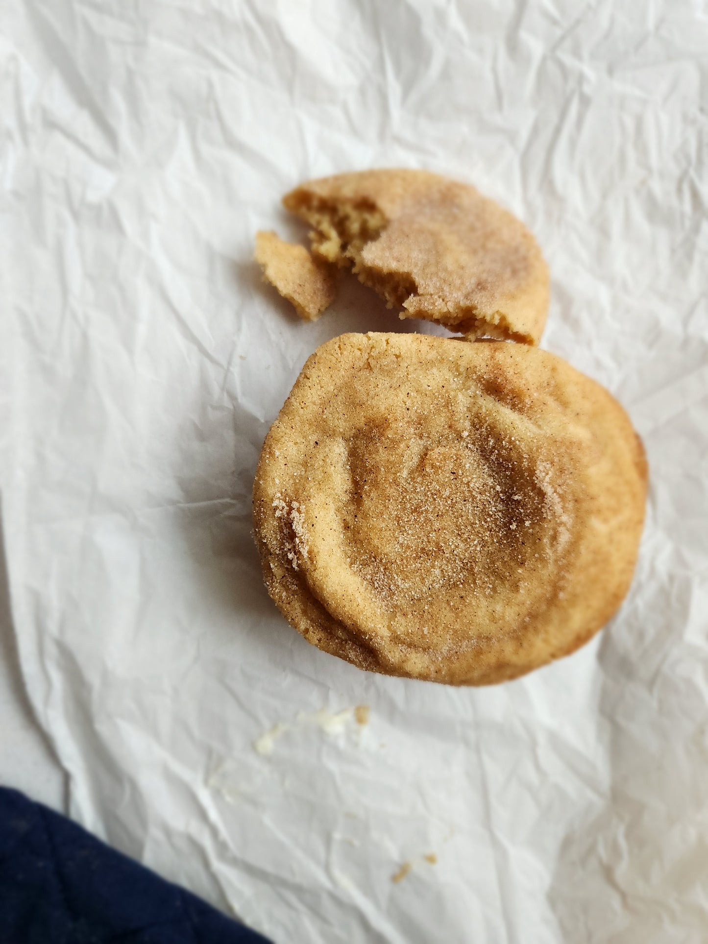 Snicker Doodle