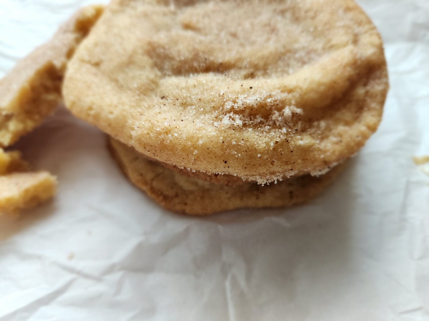 Snicker Doodle